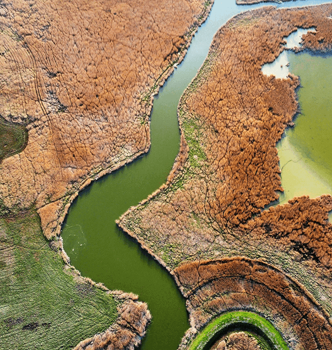 Climate Change & Energy